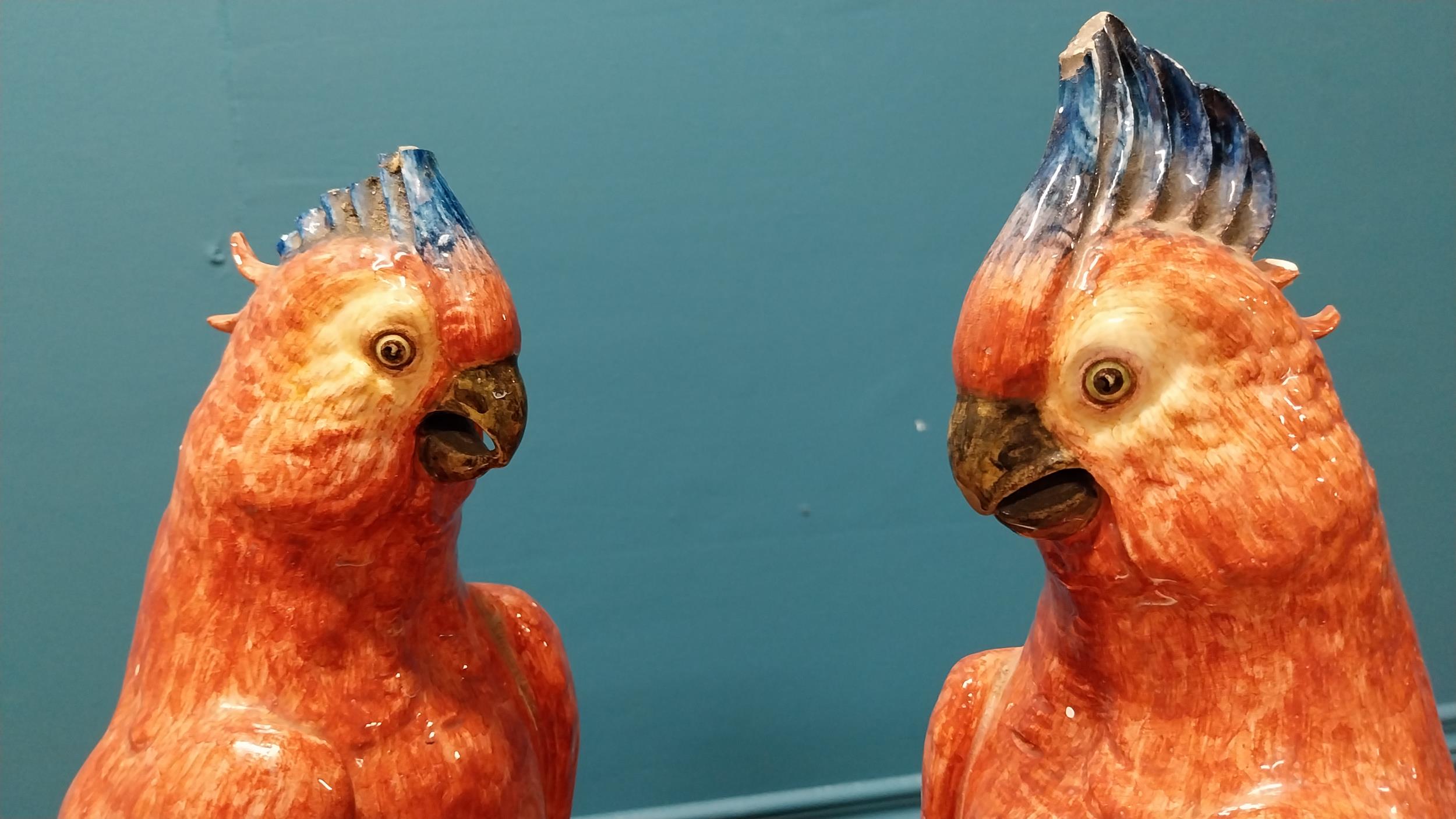 Pair of early 20th C. Italian hand painted ceramic Parrots by R. Passari with damage {38 cm H x 13 - Image 2 of 5
