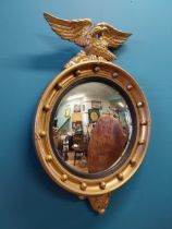 Good quality giltwood convex mirror surmounted by Eagle in the Regency style {70 cm H x 47 cm W}.