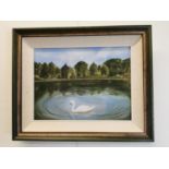 Liz Cadan Swan Swimming on the Lake Oil on Canvas mounted in a painted and gilt frame { 43cm H X