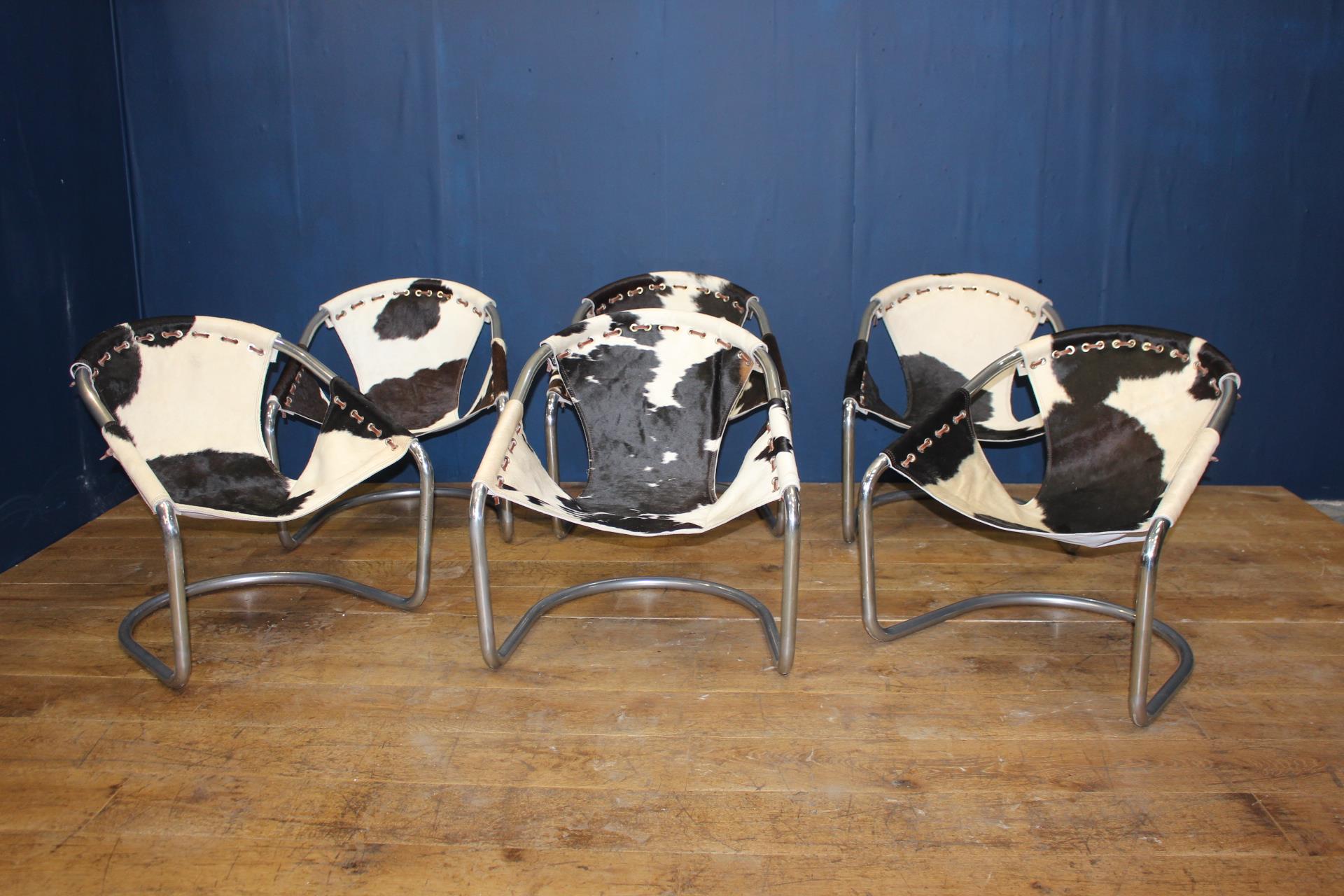 Set of six Retro cowhide and chrome tub chairs {H 68cm x W 64cm x D 50cm }.