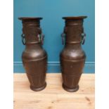 Pair of tall Oriental bronze vases {60 cm H x 22 cm Dia.}.