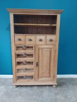 Good quality stripped pine seed cabinet with nine drawers and single blind drawer. {172 cm H x 111