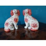 Pair of 19th C. ceramic Staffordshire dogs {26 cm H 23 cm W 15cm D}.