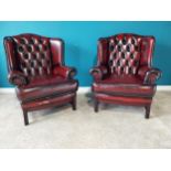 Pair of deep buttoned leather wingback armchairs raised on square mahogany legs {102 cm H 82 cm W