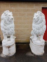 Composition stone lions raised on bases {H 180cm x W 50cm x D 110cm }.