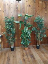 Three artificial plants {180 cm H x 60 cm W x 60 cm D}.