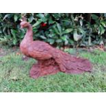 Good quality cast iron model of a peacock {32cm H X 42cm W x 22cm D}