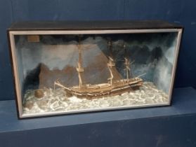 H.M.S Pegasus wreck off Nova Scotia September 1806 in glazed case. {H 42cm x W 77cm x D 22cm }.