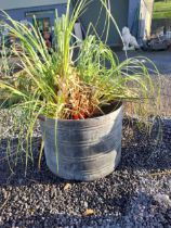 Early 20th C. metal planter. {49 cm H x 70 cm W x 70 cm D}.