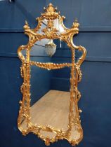 Decorative giltwood wall mirror with leaf and scroll design in the Rococo manner. {H 192cm x W