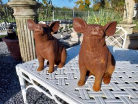 Two cast iron models of pigs. {29 cm H x 17 cm W x 28 cm D}.