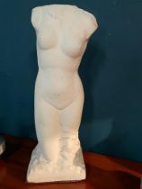 Plaster figure of a Torso {80 cm H x 34 cm W x 23 cm D}.