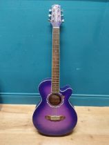 Gypsy Rose 6 string acoustic Guitar {97 cm H x 30 cm W x 10 cm D}.