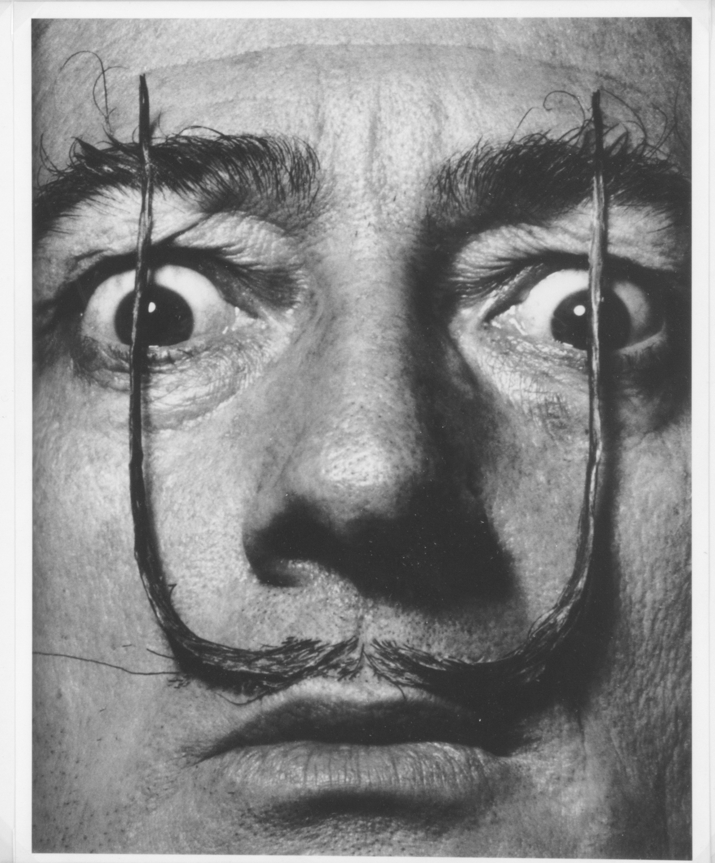 PHILIPPE HALSMAN. "SALVADOR DALI', 1953" - Image 2 of 2