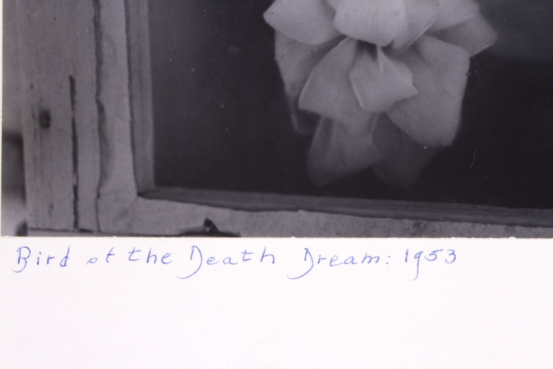 CLARENS JOHN LAUGHLIN. "BIRD OF THE DEATH DREAM: 1953" - Bild 3 aus 3