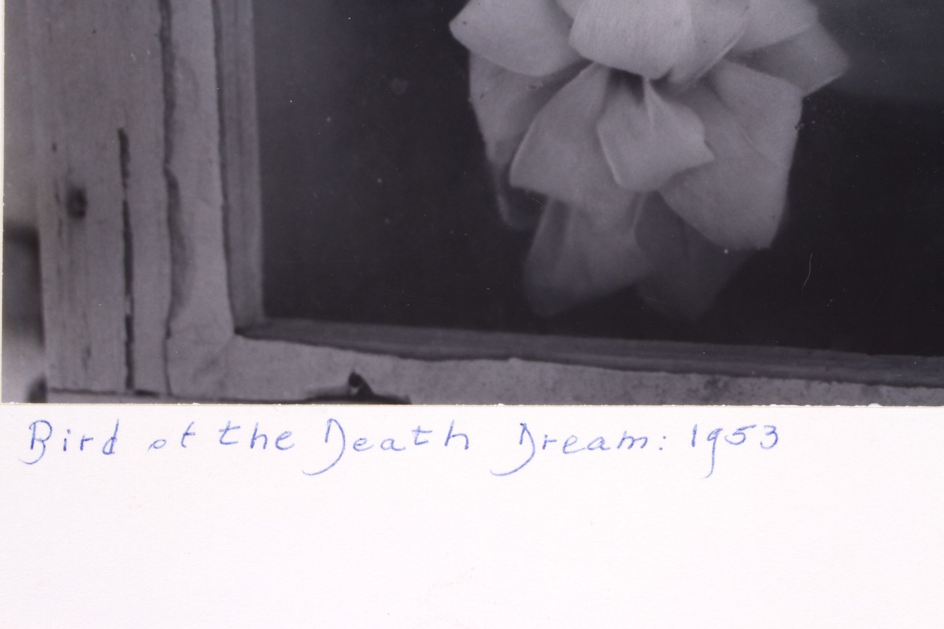 CLARENS JOHN LAUGHLIN. "BIRD OF THE DEATH DREAM: 1953" - Image 3 of 3