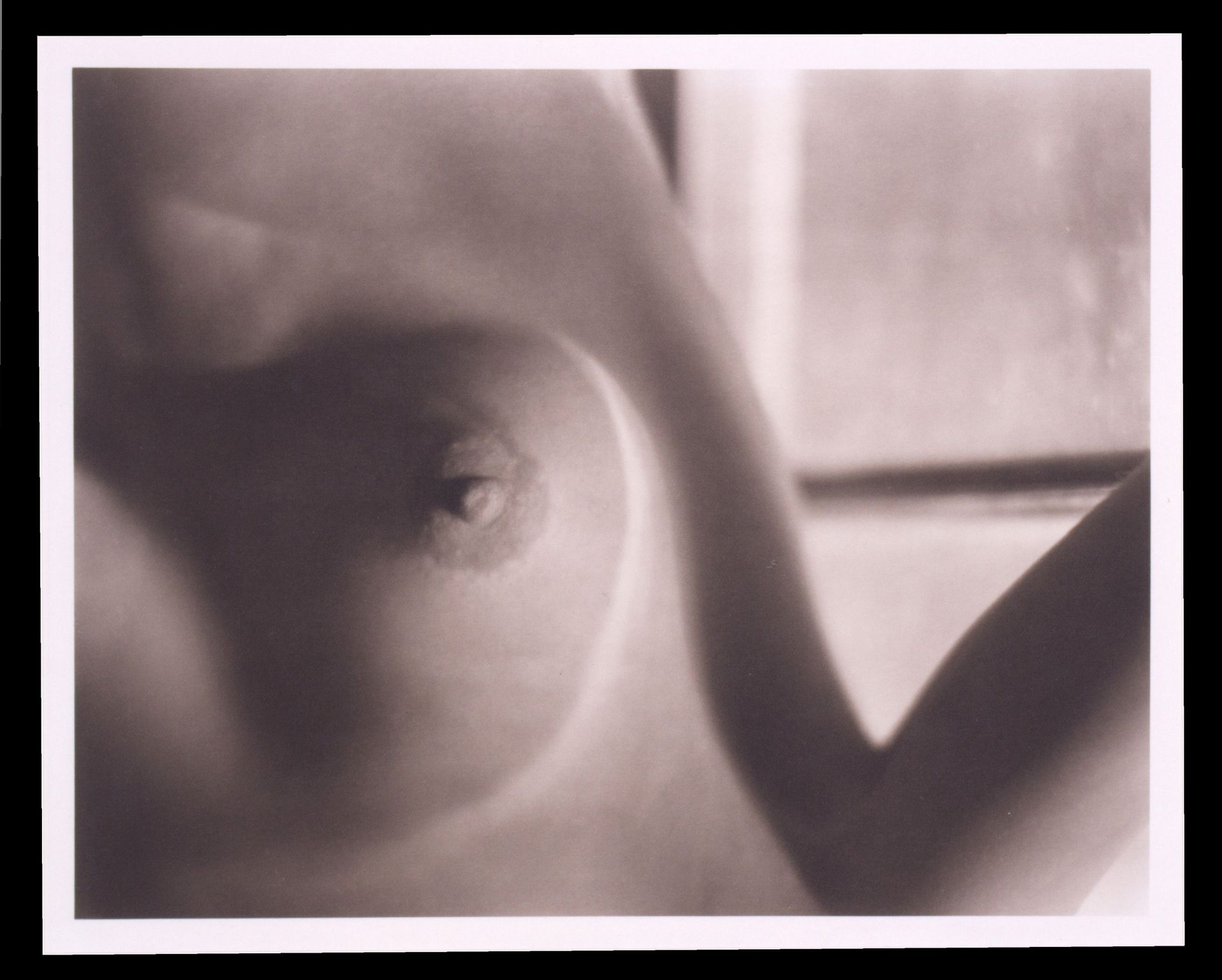 EDWARD WESTON. "NUDO, 1920" - Bild 2 aus 2