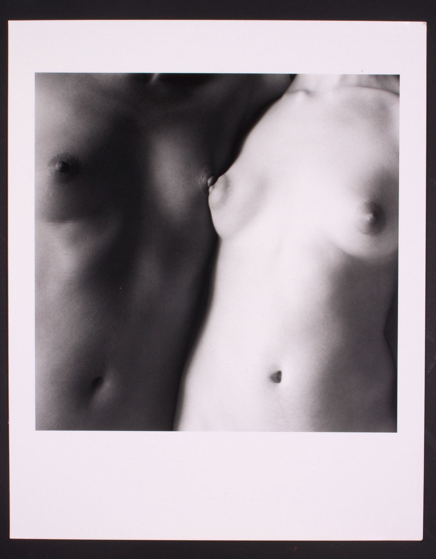 FLOR GARDUNO. "TORSOS MEXICO, 1999"