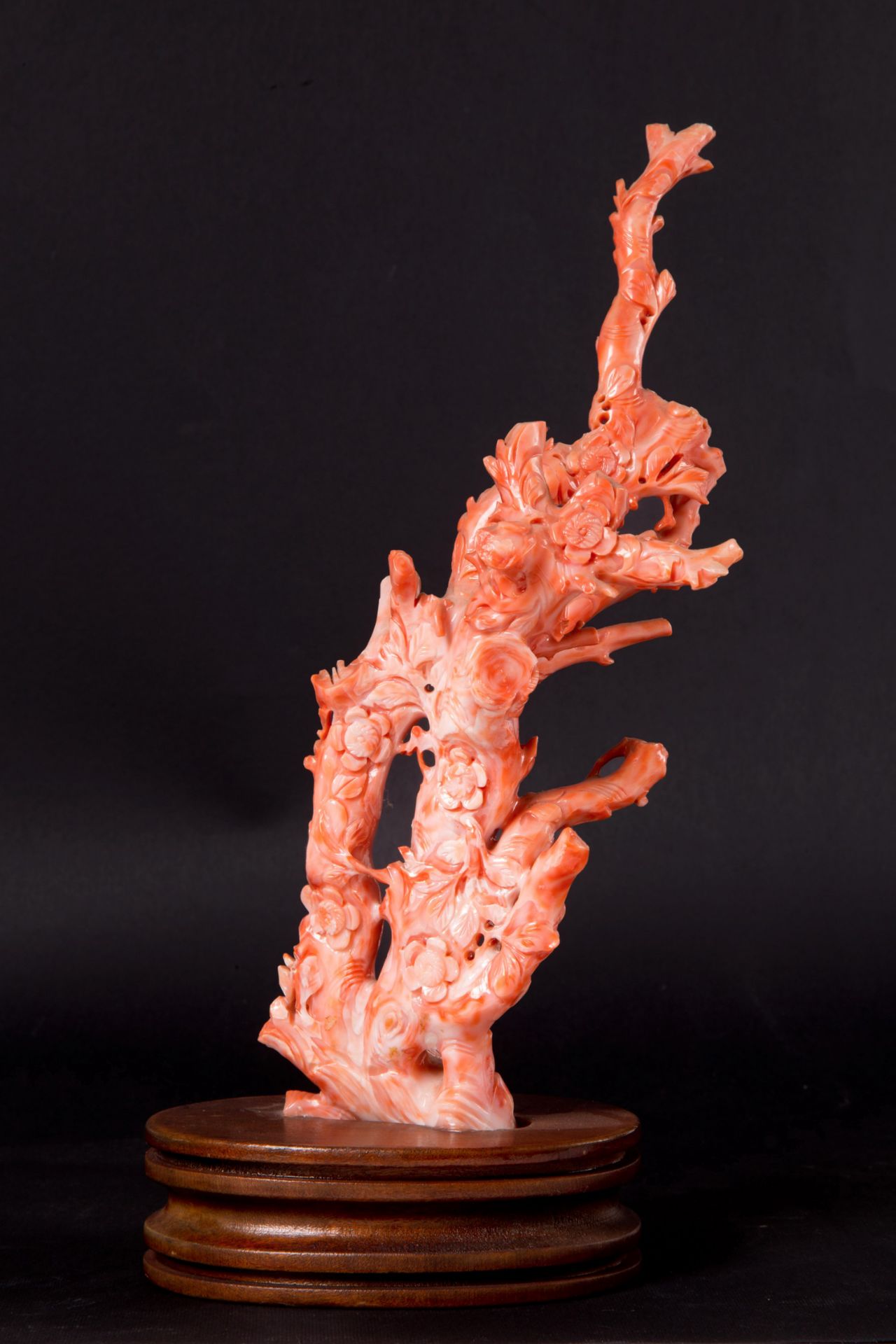 Sculpture "BRANCH WITH SQUIRRELS" in coral - Image 2 of 2