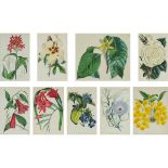 John Lindley (1799-1865), SET OF NINE ASSORTED BOTANICAL PRINTS, 19TH CENTURY, 8.7 ins x 5.5 ins; 22