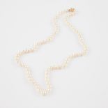 Single Strand Of Cultured Pearls, (7.5mm to 7.8mm) completed with a 14k yellow gold clasp