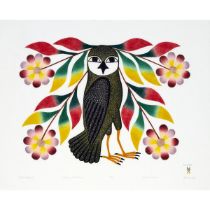 Kenojuak Ashevak ᑭᓄᐊᔭᐊ ᐊᓯᕗ, CC, RCA (1927-2013), OWL'S BOUQUET, 2007, stonecut and stencil, sheet 24