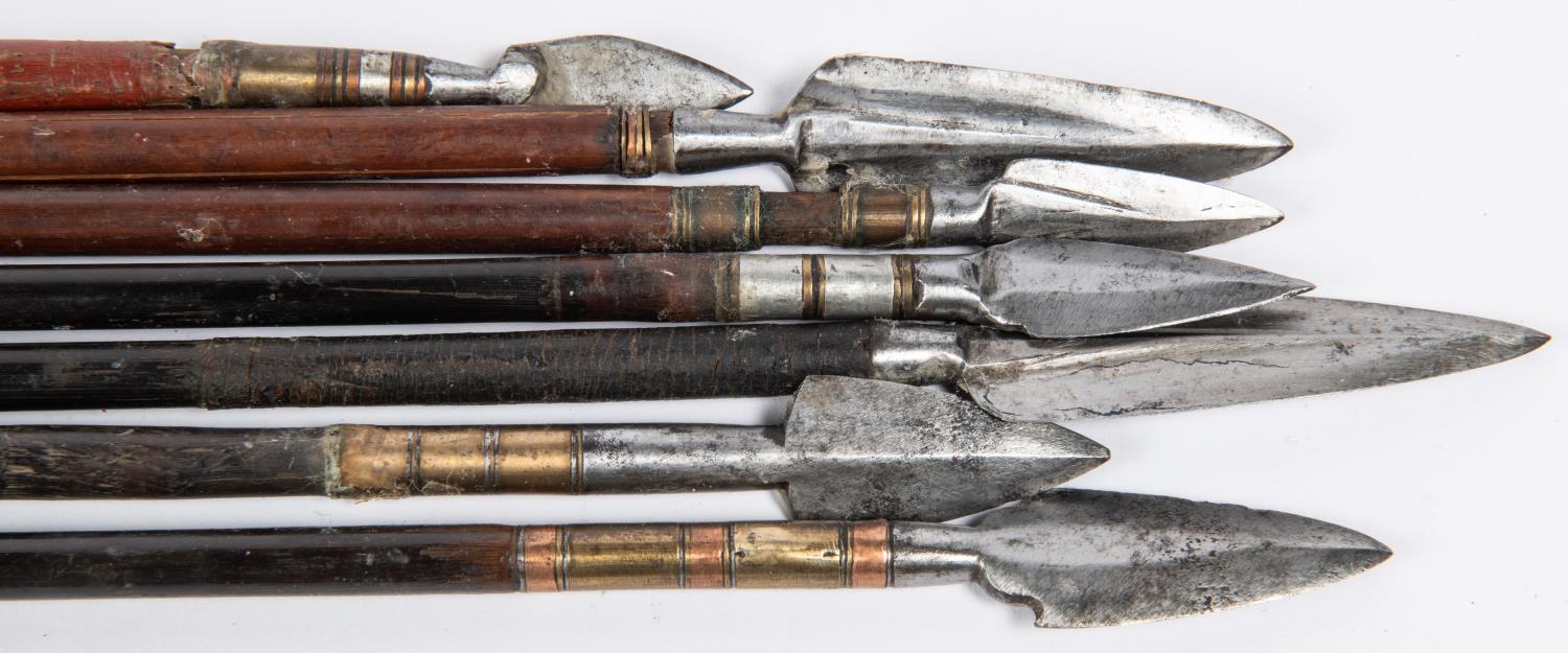 Seven 18th century Indian arrows, with varying flat leaf shaped heads, including two with central - Image 3 of 3