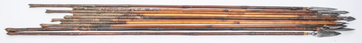 Ten 18th century Indian arrows, including four with flat leaf shaped heads, one with long bodkin