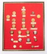 23 buttons relating to the Royal Army Service Corps and its predecessors, including gilt