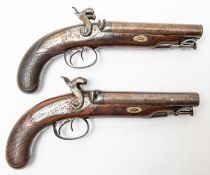 A good pair of officer's 16 bore (.65") double barrelled percussion holster pistols, by