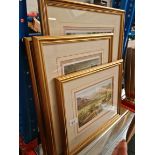 Four signed limited edition Judy Boyes prints.