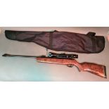 A Gamo Hunter 440 WT .22 calibre air rifle with Nikko Stirling Silver Crown 3-9x40 sight, serial no.