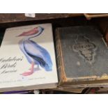 A brass bound family Bible and an American book of birds by Audubons.