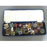 A case of assorted vintage brooches.