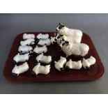 A herd of 17 Beswick rams and lambs.