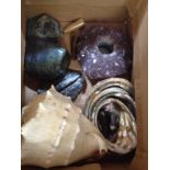 A box of assorted minerals and shells.