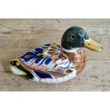 A Royal Crown Derby Mallard duck paperweight with silver stopper.