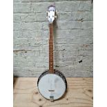 A 5 strung banjo