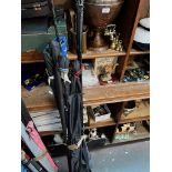 A bundle of coarse fishing rods, Shakespeare, Daiwa, etc.