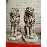 A pair of stoneware garden lion statues.