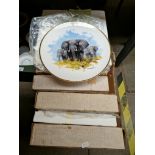 Set of 8 David Shepherd Wildlife Collection plates by Wedgwood (7 boxed)