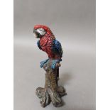 A cold painted bronze parrot, height 14.5cm.