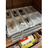 4 cases of various insects.