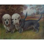 E S England (British, late 19th/early 20th century), oil on canvas, Dandie Dinmont terriers, 45cm