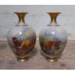 A pair of Royal Worcester vases, hand painted with highland cattle and signed H Stinton, height