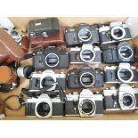 A box of assorted mainly SLR camera bodies, various manufacturers including Fujica, Canon, Praktica,