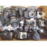 A box of assorted digital SLR and automatic cameras, various manufacturers including Canon, Nikon,