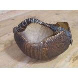 A taxidermy armadillo hand basket, length 18cm.