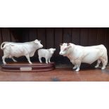 Beswick cattle figures, Charolais bull figure (matt finish), Charolais cow and calf on wooden plinth