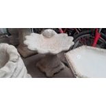 A shell shaped bird bath on plinth